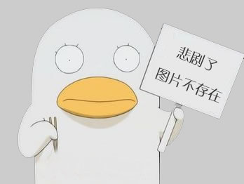 官網(wǎng)微信